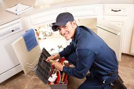 Professional Plumbung Services in Woodside East, DE